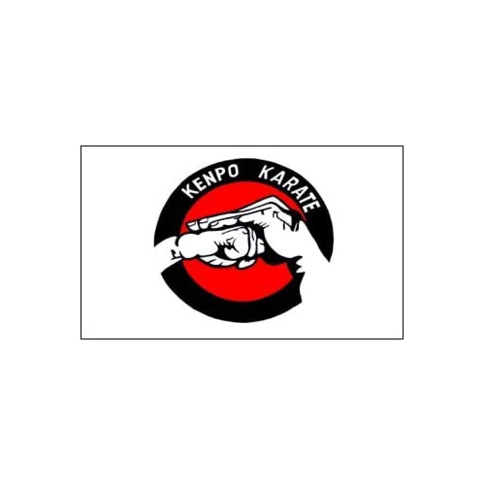 AZ FLAG - Kenpo Karate Flag - 3x5 Ft - 100D Polyester Karate Banner with Two Metal Grommets - Fade Resistant - Vivid Colors - 3' x 5' Feet - 150x90 Cm