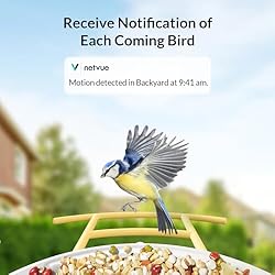 NETVUE Birdfy Lite- Smart Bird Feeder Camera, Bird