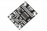 NOYITO TPA3110 Dual Channel Stereo Digital Audio