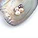 Hot Sale Gift! AMA(TM) 10Pcs 7-8mm Oysters with Large Oval Pearl inside Birthday Gifts