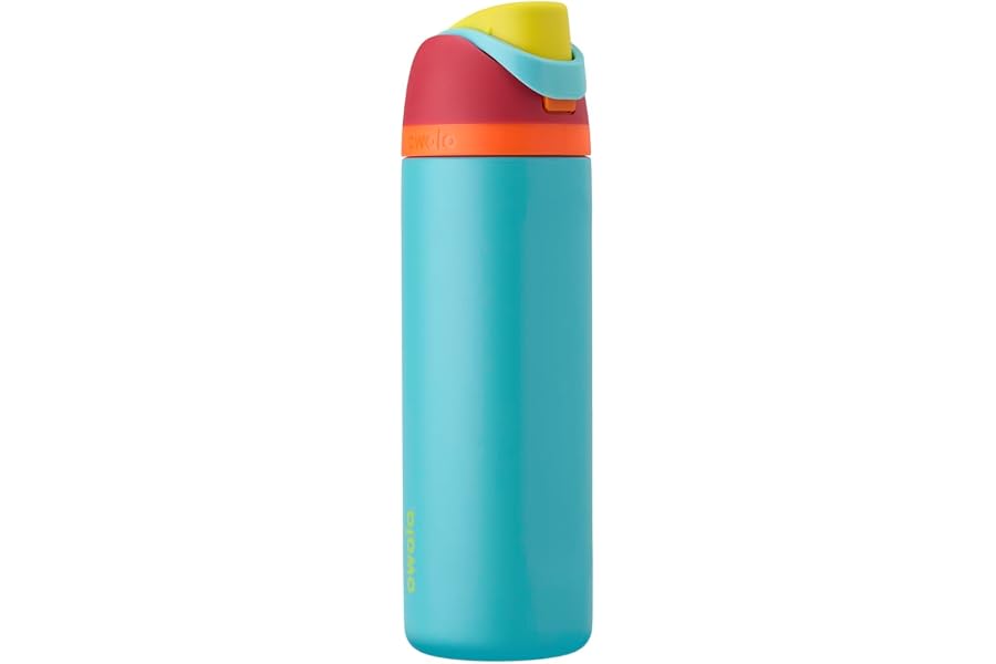 Owala FreeSip Insulated Stainless Steel Water Bottle with Straw, BPA-Free Sports Water Bottle, Great for Travel, 24 Oz, Summe Book