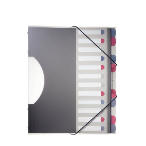 Esselte Intense Polypropylene Divider Book with 12 Parts - Multicoloured