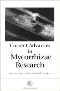 Amazon Com Current Advances In Mycorrhizae Research