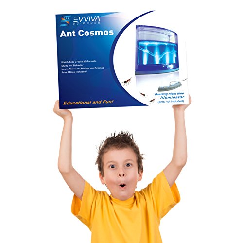 Ant Farm W/ LED Light. Enjoy A Magnificent Ecosystem. Great For Kids & Adults. The Best Ant Habitat W/ Enhanced Blue Gel. Evviva Educational & Learning Science Kits. Live Harvester Ants Not Included