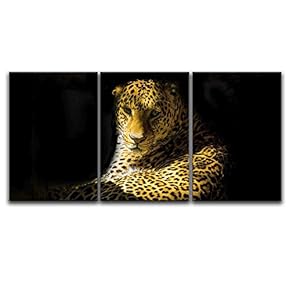3 Panel Canvas Wall Art - Leopard in Black Background - Giclee Print Gallery Wrap Modern Home Art Ready to Hang - 16"x24" x 3 Panels