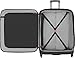 Victorinox Avolve 3.0 Softside Expandable Spinner Luggage, Black, Checked-Large 29-Inch