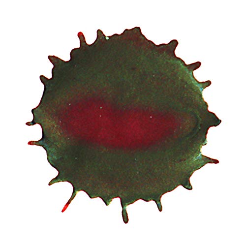 Diamine - Fountain Pen Ink, Bloody Absinth 80ml