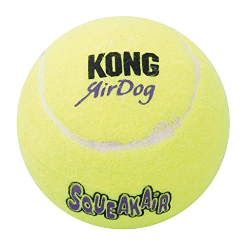 Squeaker Ball