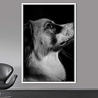Framed Canvas Wall Art High Contrast Portrait Animals Black and White Contemporary Dogs Duotone Expressive Grey Photography Portrait - 16x24 inches