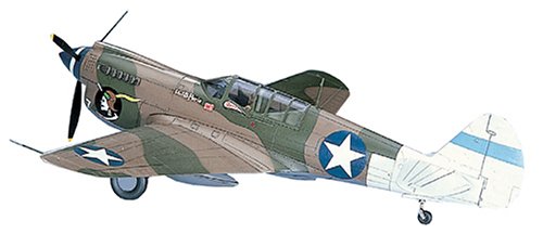 1/72 P-40N Warhawk # A9