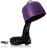 Laila Ali LADR5603 Salon Ionic Dryer, Purple and Black