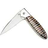 Kershaw Leek Folding Pocket Knife with Artisan-Crafted Brown Woolly Mammoth Tooth Handle