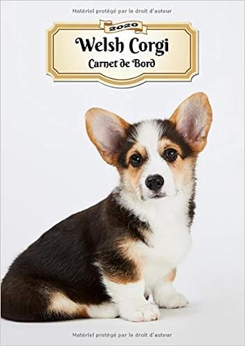 Amazonfr 2020 Welsh Corgi Carnet De Bord Chiot Ou Chien