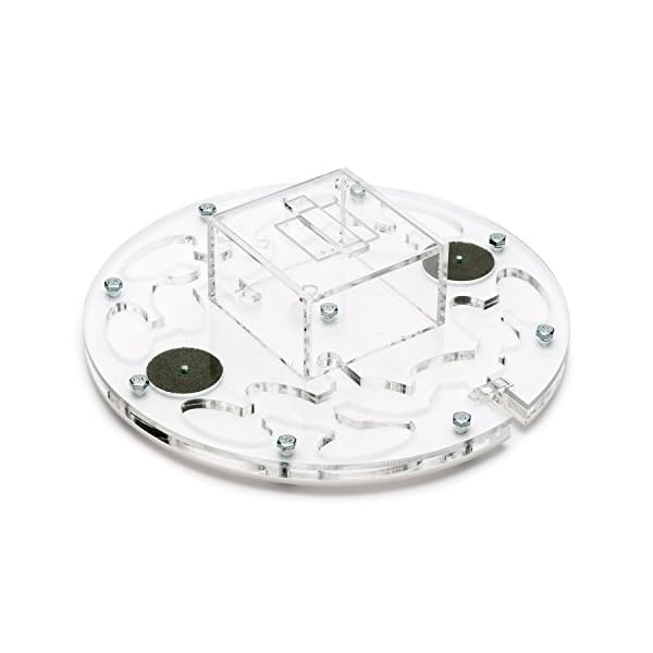 AntHouse - Formicaio Acrilico - Kit Educativo Circolare Big 20x20x1,3 cm con Coperchio | Sistema di umidità a Schiuma…