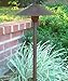 BestPro Lighting 12 Volt Low Voltage Landscape Mushroom Path Light in Rust Finish BPL301-RST