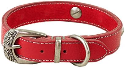 DMC Pet Supplies Luxury Adjustable Leather Dog Collar, Width 4/5" by Length 12"-14.5", Red