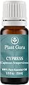 Cypress Essential Oil. 10 ml. 100% Pure, Undiluted, Therapeutic Grade.