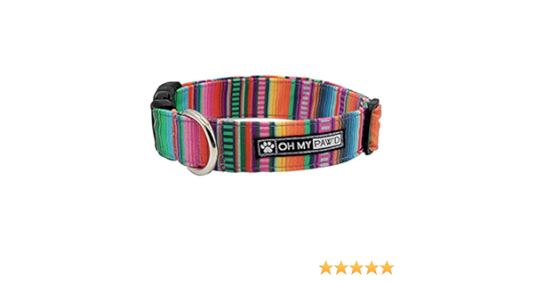 sarape dog collar