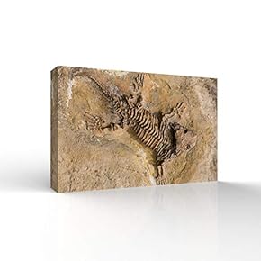 Vintage Animal Fossil Living Room Poster