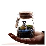 Artlalic Micro Landscape Model, Totoro Crafts DIY Dollhouse Mini Toy Glass Garden Decor Gift
