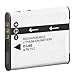 Essential Accessory Kit For Pentax Optio WG-1, WG-2, WG-3 GPS, Ricoh WG-4 GPS, WG-4, WG-30, WG-30W, WG-5 GPS Waterproof Digital Camera Includes Replacement D-LI92 Battery + Ac/Dc Charger + Case + More