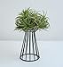 Pack of 2 Air Plant Tillandsia Base Large Tillandsia Air Plant Holder Metal Indoor Tabletop Big Streptophylla Air Plant Stands Tillandsia Plant Racks Large Xerographica Air Plant Stand