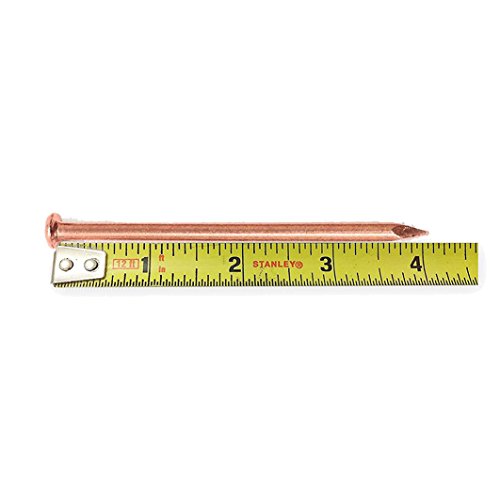 Zipcase 4 Inch (106mm) Solid Pure Copper Nails Extreme Long for Killing Trees, Stumps & Roots x 10 With 4 Inch Steel Nails x 2