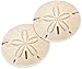 Sand Dollar Seashell Coastal 2.75 x 2.75 Absorbent Ceramic Car Coasters Pack of 2
