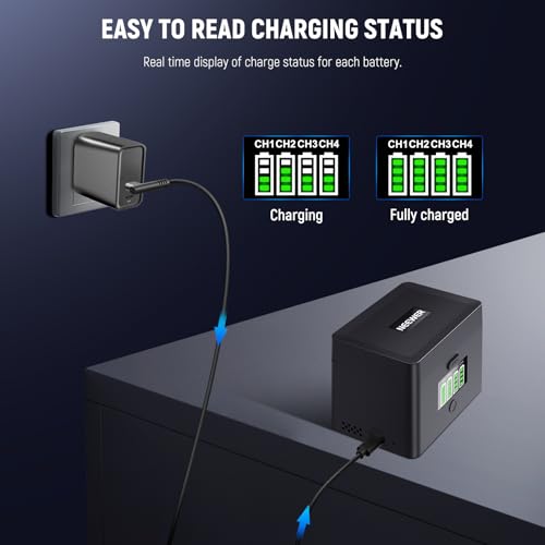 NEEWER 2 In 1 Four Channel USB Battery Charger for NP-FZ100 & LP-E6, 40W Fast Charging, Backup Power Supply Compatible with Sony A6700 A7III FX3 FX30 A7IV Canon EOS R5 Mark II 6D/II 5D/III 5D, NW-ZP4