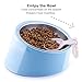 Super Design Mess Free 15 Degree Slanted Bowl for Dogs and Cats 1.5 Cup Light Blue