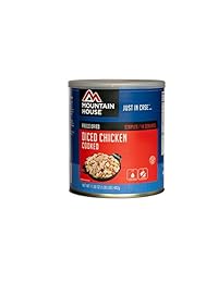 Molde de pollo con dictado para casa de montaña #
