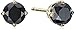 Amazon Collection 1 cttw Black Diamond Stud Earrings 14k Yellow Gold