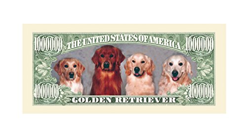 Set of 25 - Golden Retriever Dog Million Dollar Bill