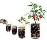 Nature's Greeting Trinidad Scorpion Pepper Magic