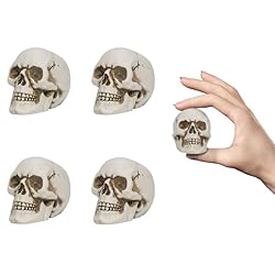 READAEER Resin Skull 4 pcs/Set, Mini Skull Model
