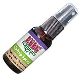 KONG - Naturals Catnip Spray for Cats - 1 Fluid Ounce