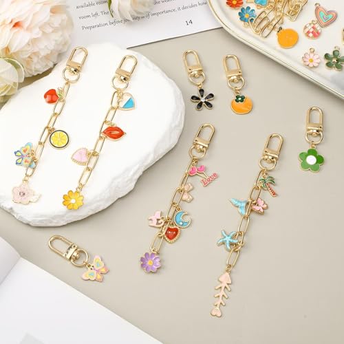 159Pcs Keychain Making Kit, Charm Jewelry Chain Making Crafts Including 30 Charms 12 Keychain Clips Hooks 15 Extender Chains 100 Jump Ring and Jewelry Plier for Crafts