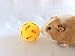 Wheeky Treat Ball Toy for Guinea Pigs, Rabbits, Hedgehogs and Other Small Pets, 7 cm, Yellow, Adjustable Opening Treat Toy New