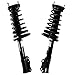 Prime Choice Auto Parts CST100091PR Rear Strut Assembly Pair