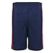 Disney Puppy Dog Pals Bingo Rolly Toddler Boys Athletic Graphic T-Shirt Mesh Shorts Set Gray 2T