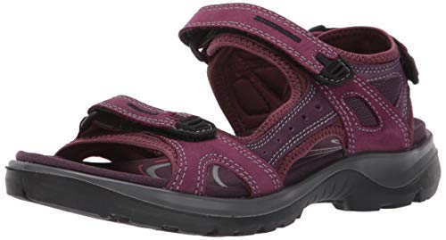 ecco hiking sandals womens