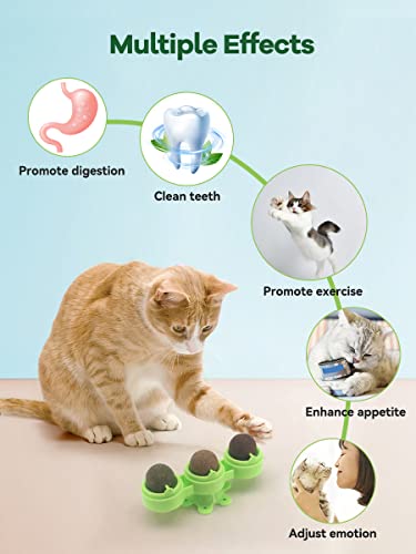 Petslucent Catnip Ball for Cats Wall, 3in1 Cat Toys Wall Ball Mint Balls Lick Roller, Cat Nip Silvervine Edible Kitty Safe Healthy Kitten Teeth Cleaning Dental Cat Toy Chew Toys Indoor