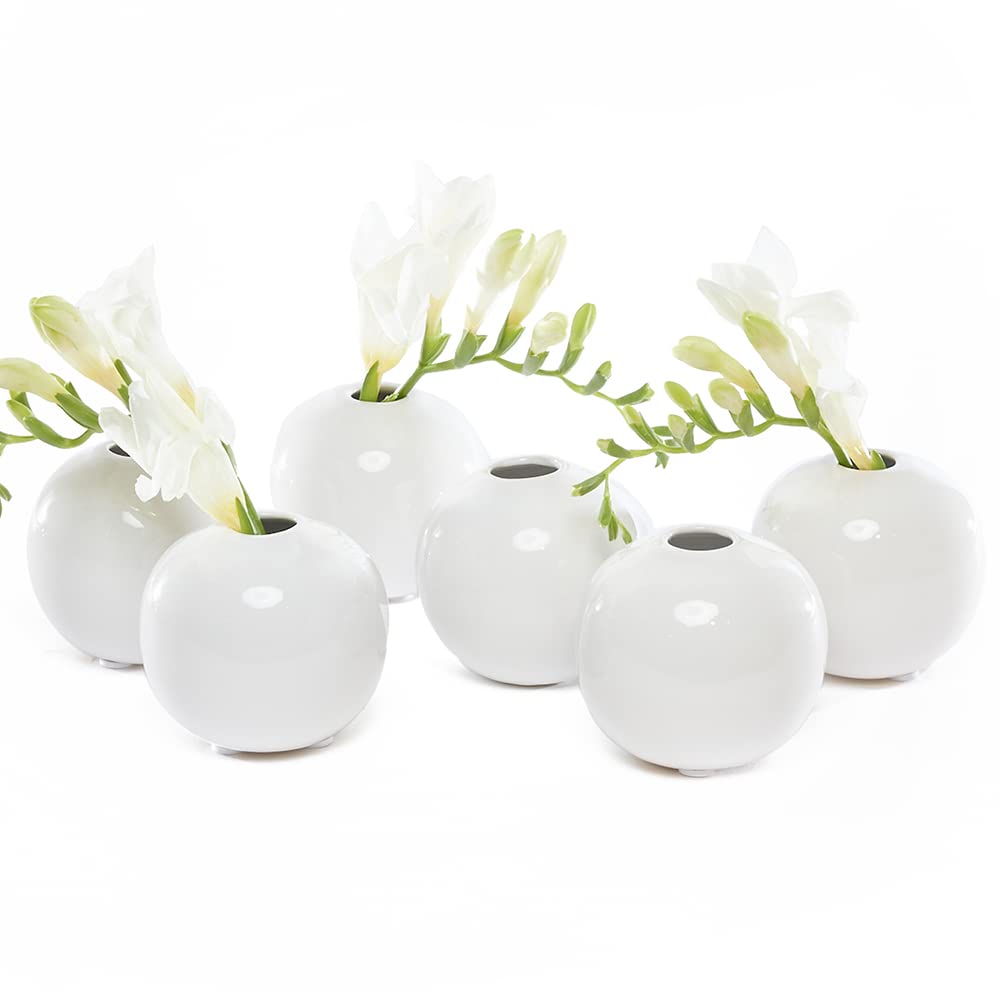 Chive โJojoโ Small Round Flower Vase โ Cute, Beautiful Ceramic Vase for Flowers & House Plants โ Set of 6 โ White Sphere โ image 1