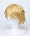 Naruto cosplay wig costume NARUTO tool yellow blonde wig with a net spiral WIG (japan import) by Amaz Style