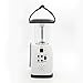 HOSHINE Solar Dynamo Multi-Functional 4-Way Powered Emergency Hand Crank FM Radio LED Camping Lantern Flashlight Phones Charger