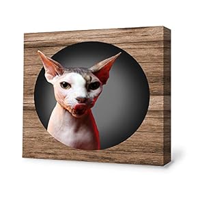 SIGNFORD Canvas Wall Art Funny Cat Canvas Painting...