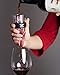 Wine Aerator Pourer, Decanter Filter, Air Diffuser - by Direct2U