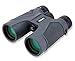 Carson 3D Series 10x42mm Binocular with High Definition Optics (TD-042)