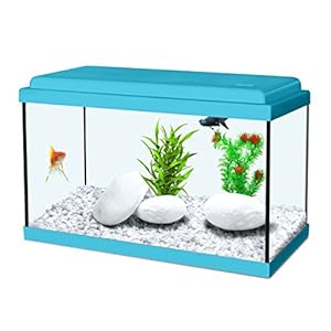 Acquario Nanolife Kidz 8 Litri blu Zolux Acquario Nanolife Kidz 8 Litri blu Zolux