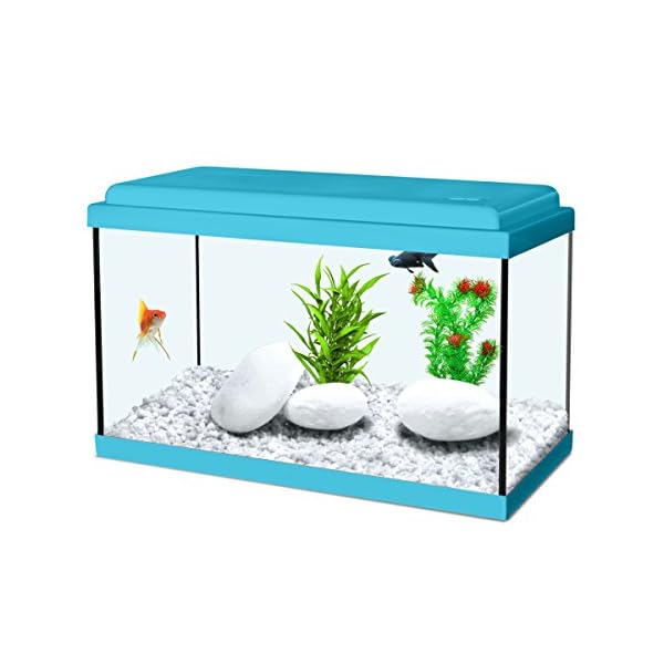 Acquario Nanolife Kidz 8 Litri blu Zolux Acquario Nanolife Kidz 8 Litri blu Zolux